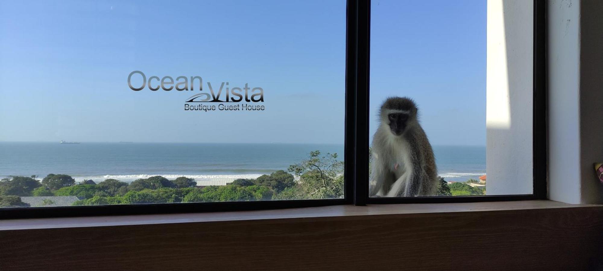Ocean Vista Boutique Guest House دوربان المظهر الخارجي الصورة